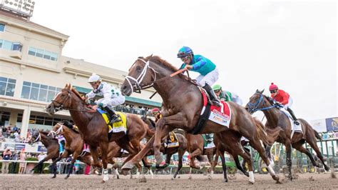 pegasus world cup betting tips|7 Tips Every Bettor Needs To Know For The Pegasus World Cup.